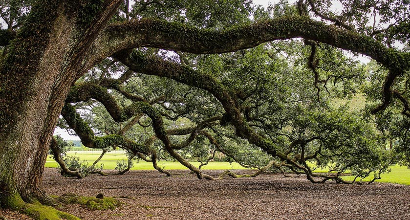 【完整安装包】官方下载的ddos压力测试网页端